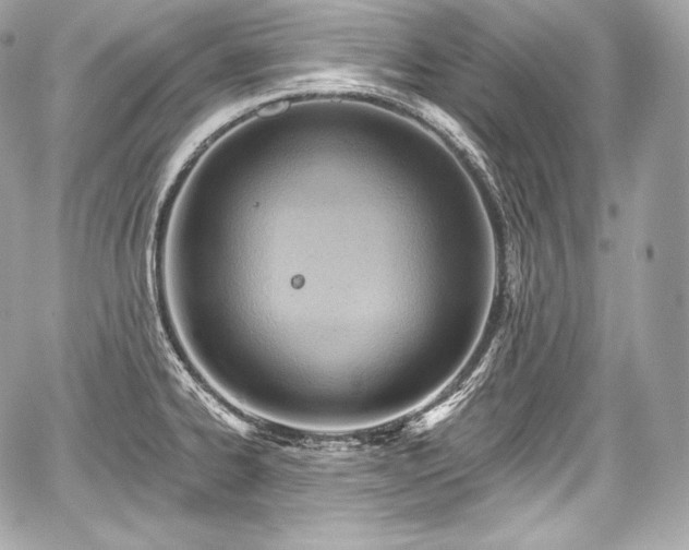 X0000059061334200510101038