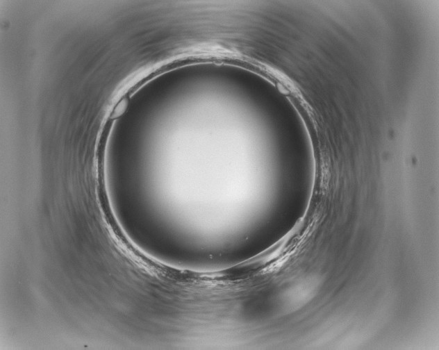 X0000059061335200510101038