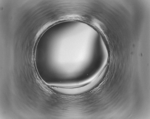 X0000059061336200510101038