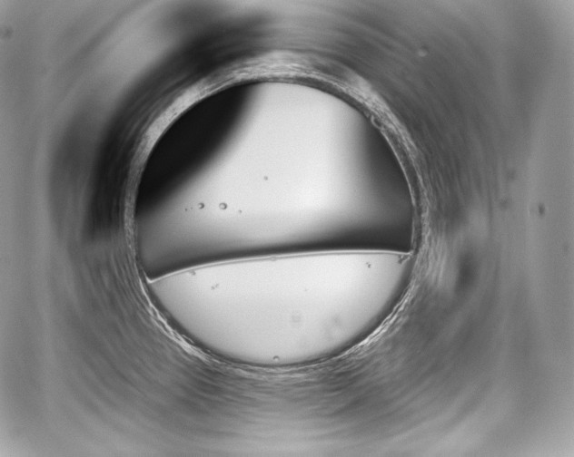 X0000059061337200510101038