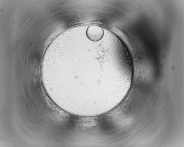 X0000059061338200510101038