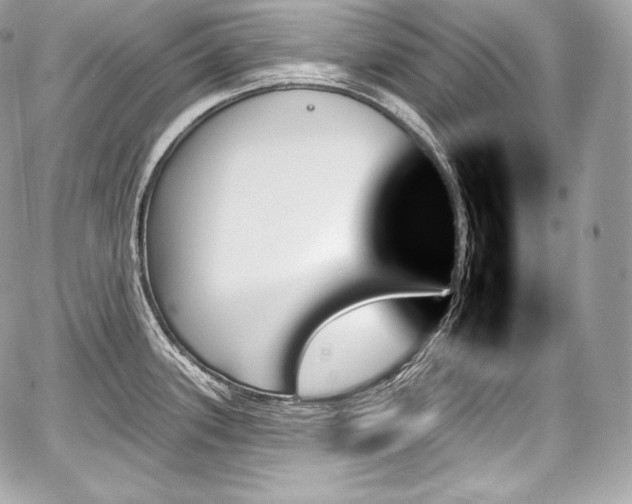 X0000059061339200510101038