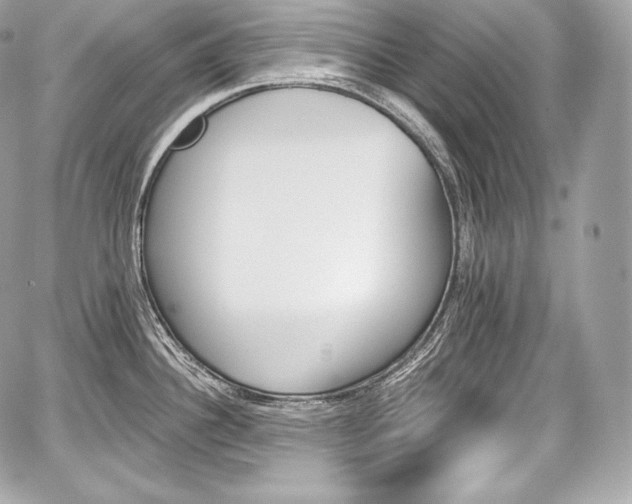 X0000059061340200510101038