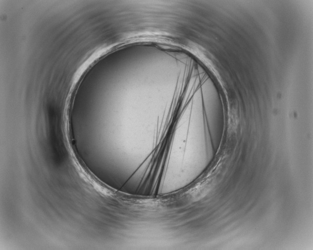 X0000059061341200510101038