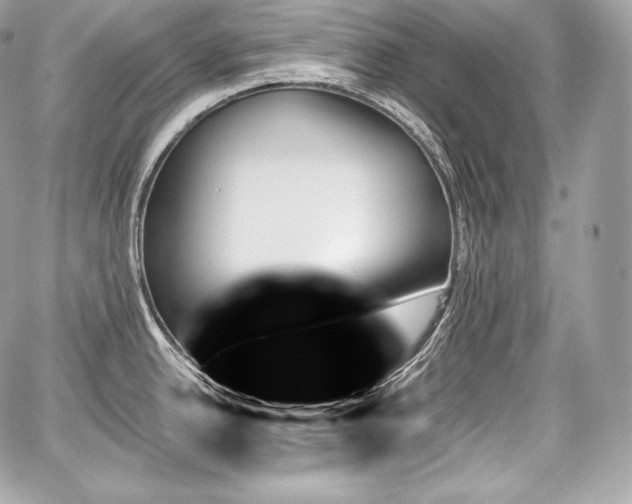 X0000059061342200510101039