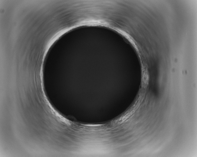 X0000059061343200510101039