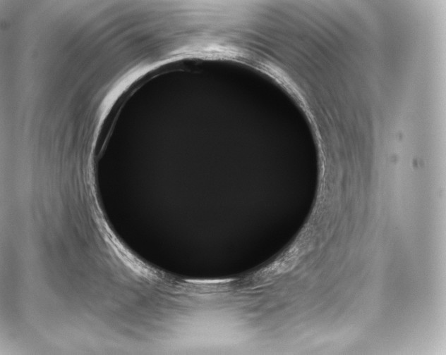 X0000059061344200510101039