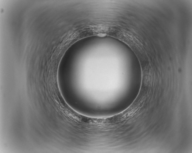 X0000059061345200510101038