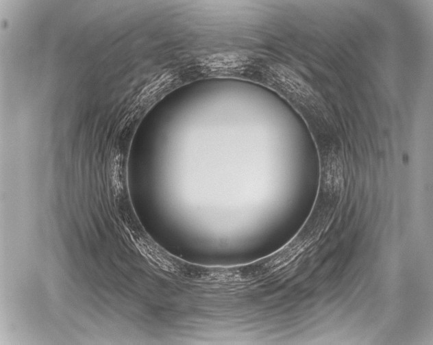 X0000059061346200510101038