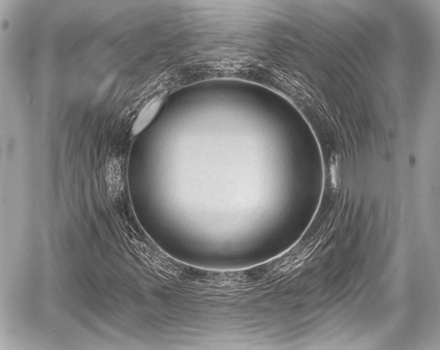 X0000059061347200510101038