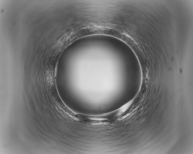 X0000059061348200510101038