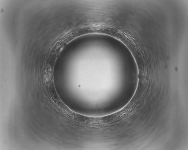 X0000059061349200510101038