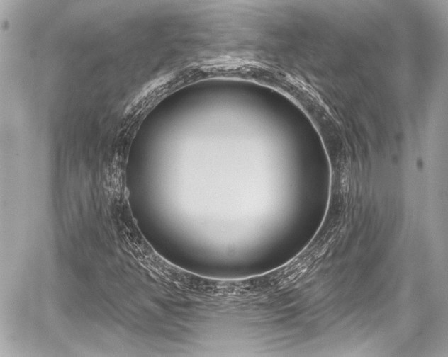 X0000059061350200510101038