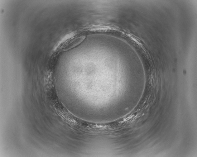 X0000059061351200510101038