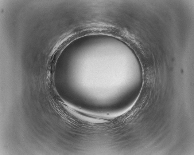 X0000059061352200510101038