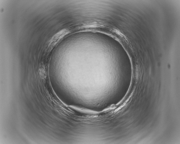 X0000059061353200510101038