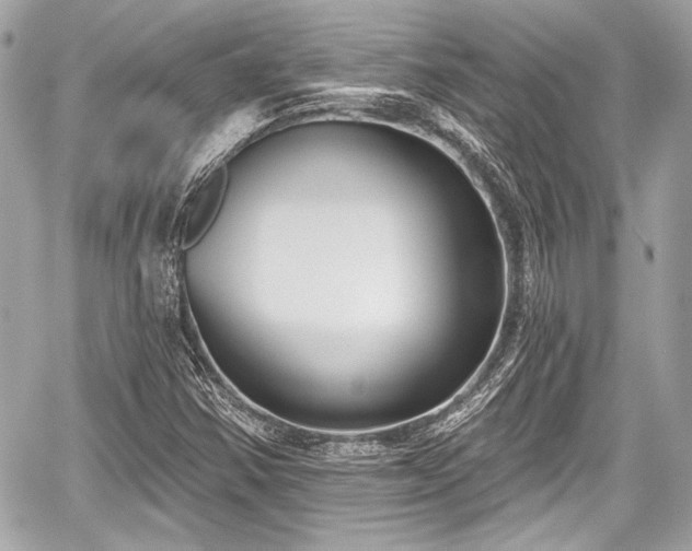 X0000059061354200510101038