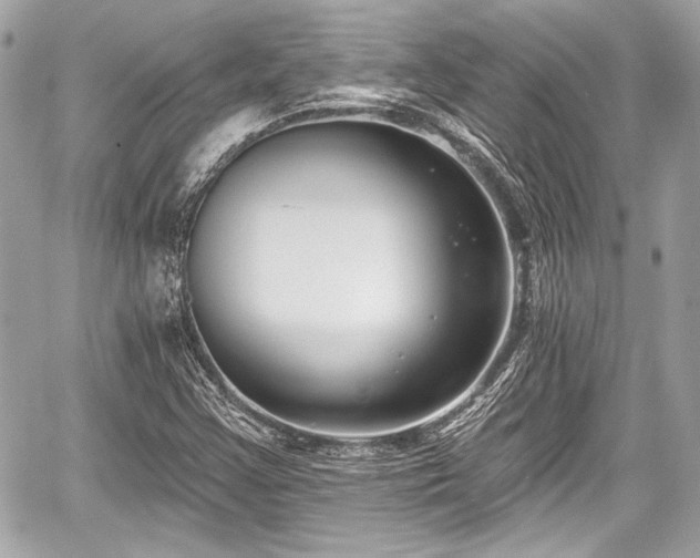 X0000059061355200510101038