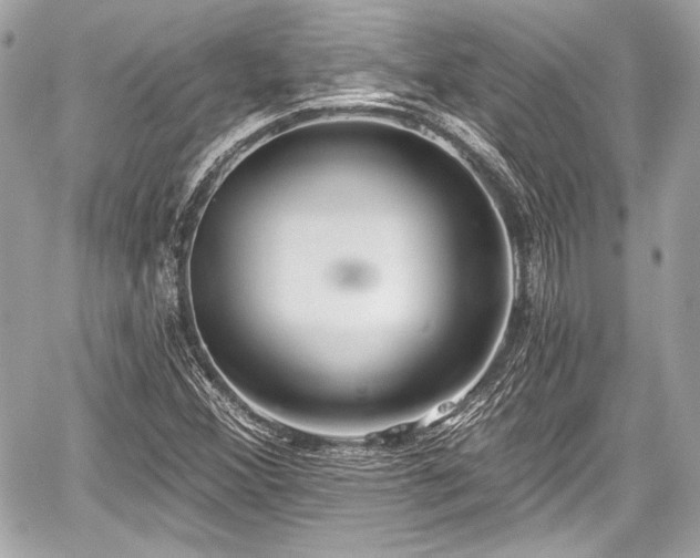 X0000059061356200510101038