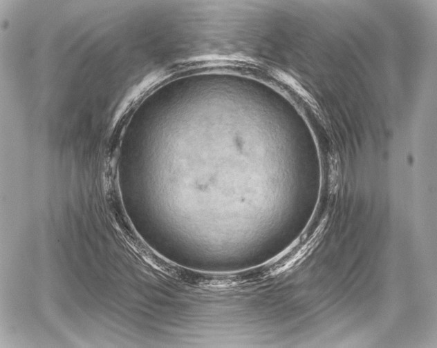 X0000059061357200510101038