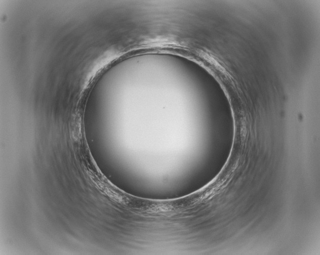 X0000059061358200510101038