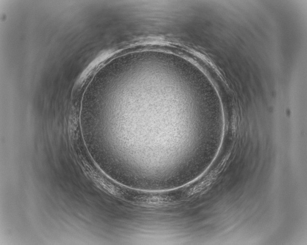 X0000059061359200510101037