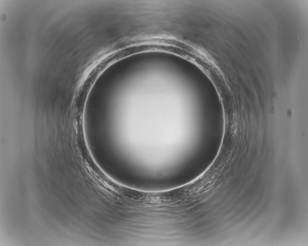 X0000059061360200510101037