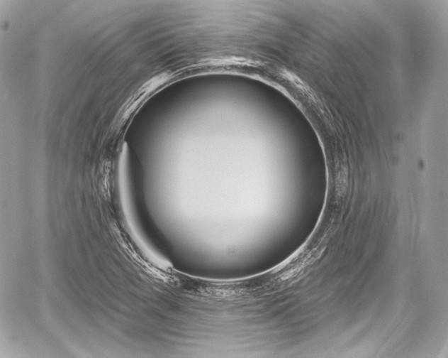 X0000059061361200510101037