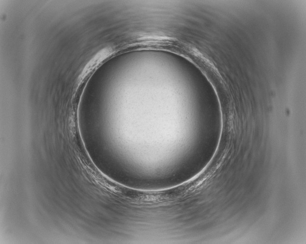 X0000059061362200510101037