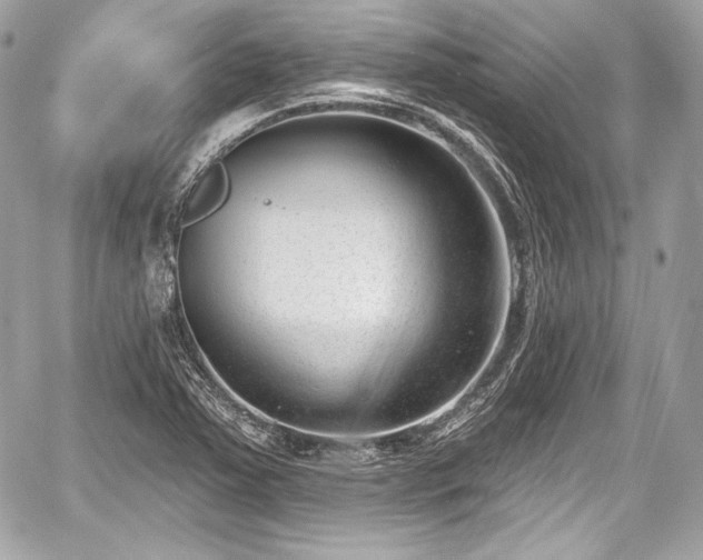 X0000059061363200510101037