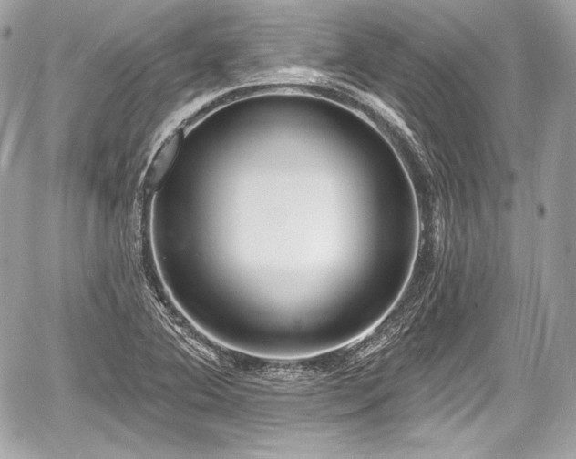 X0000059061364200510101037