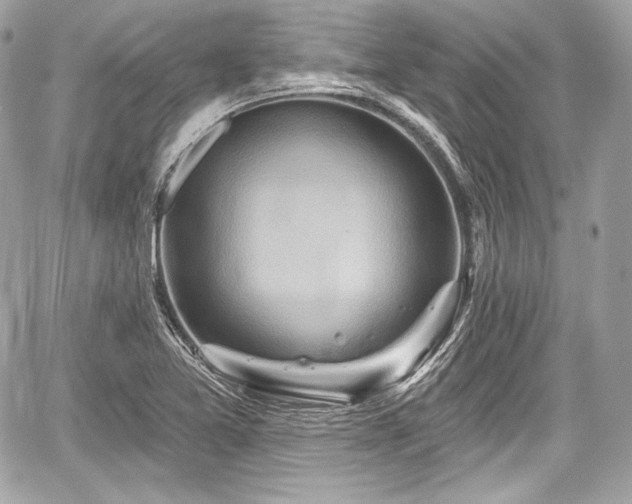 X0000059061365200510101037