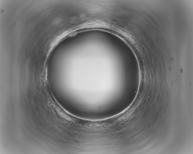 X0000059061366200510101037