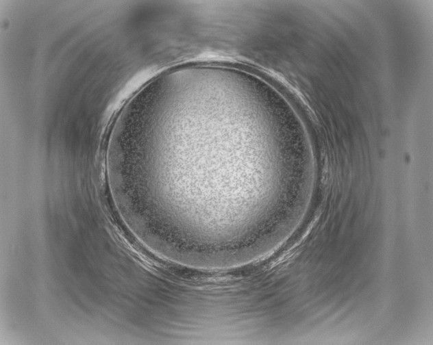 X0000059061367200510101037