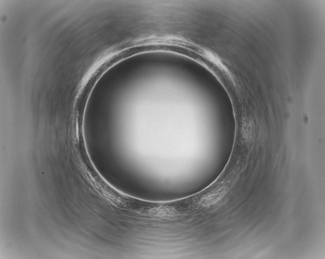 X0000059061368200510101037