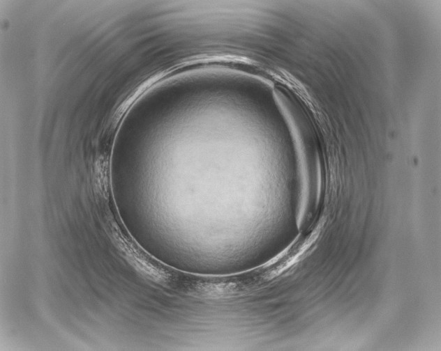 X0000059061369200510101037