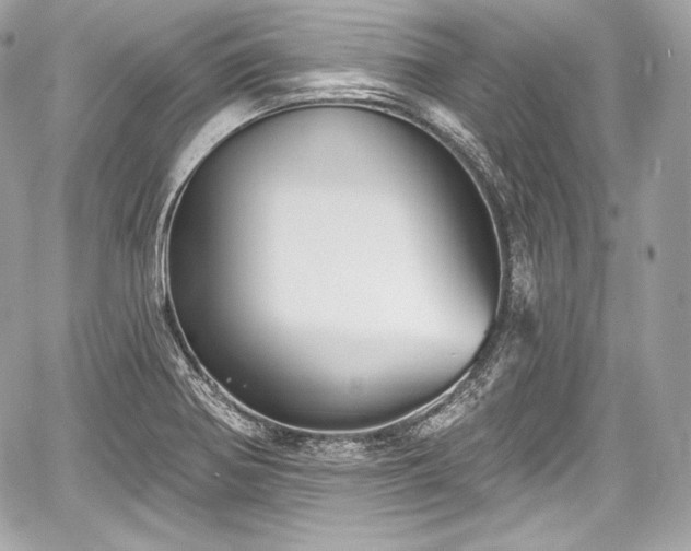 X0000059061370200510101037