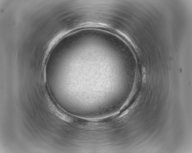 X0000059061371200510101037