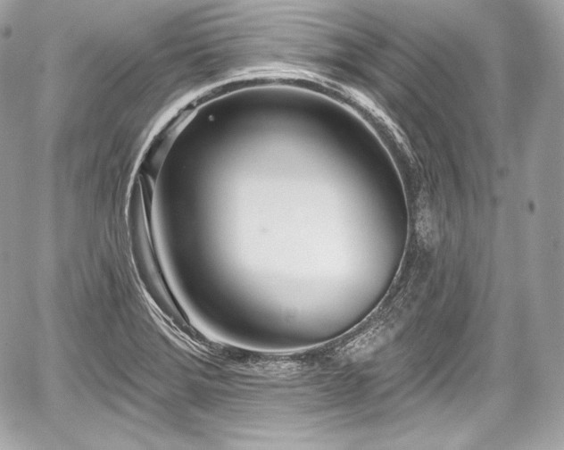 X0000059061372200510101037