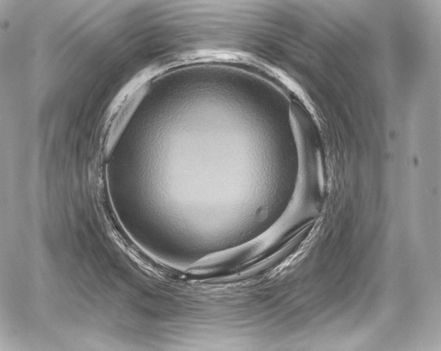 X0000059061373200510101037