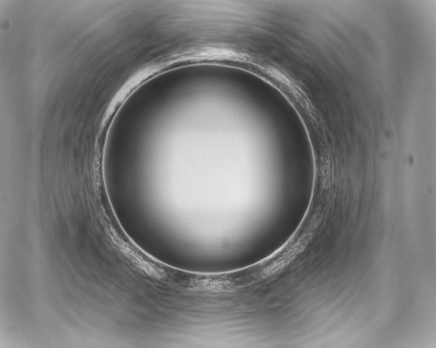 X0000059061374200510101037