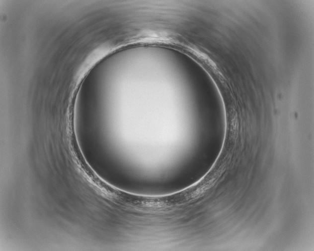 X0000059061375200510101037