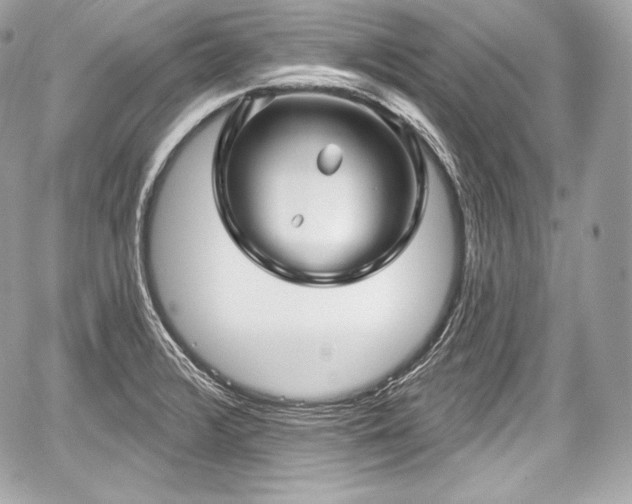 X0000059061376200510101037