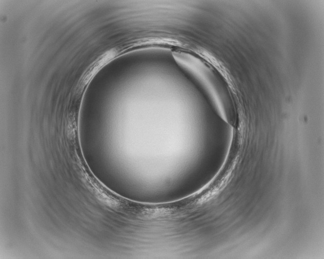 X0000059061377200510101037