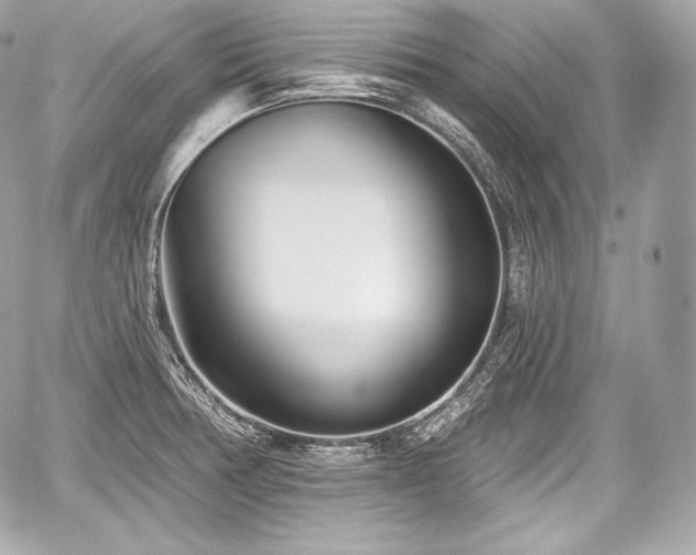 X0000059061378200510101037