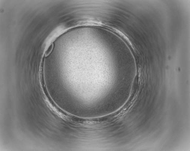 X0000059061379200510101037