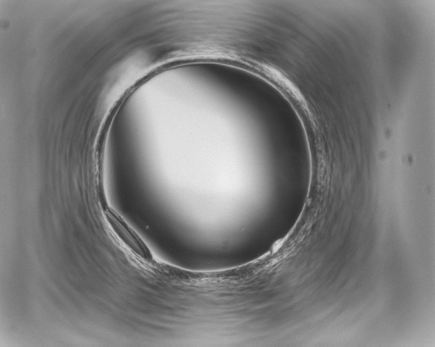 X0000059061380200510101037