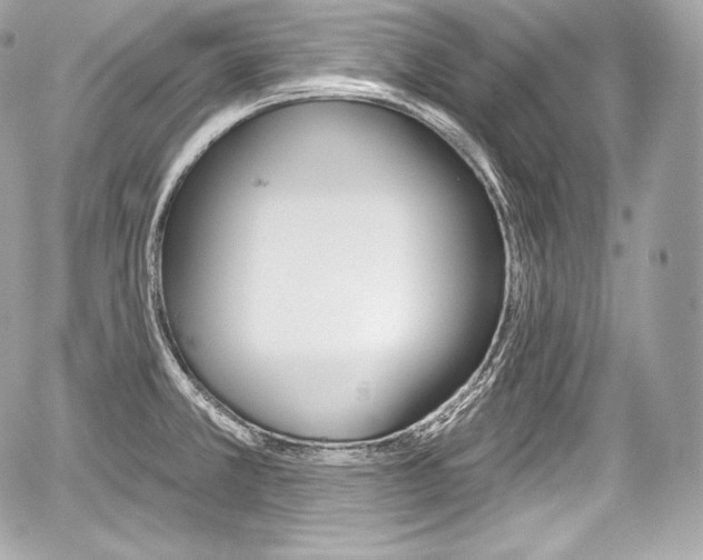 X0000059061381200510101037