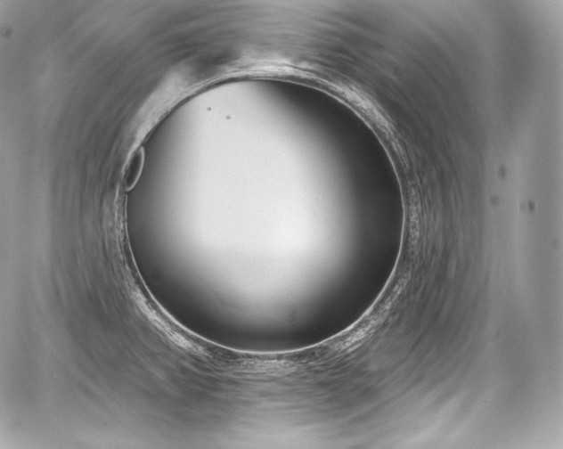 X0000059061382200510101037