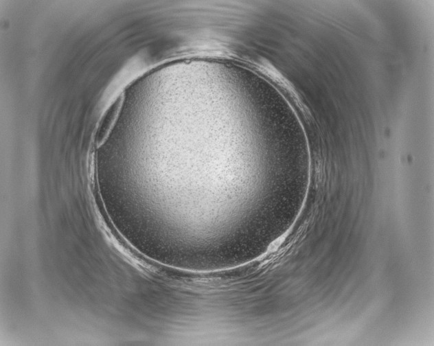 X0000059061383200510101037